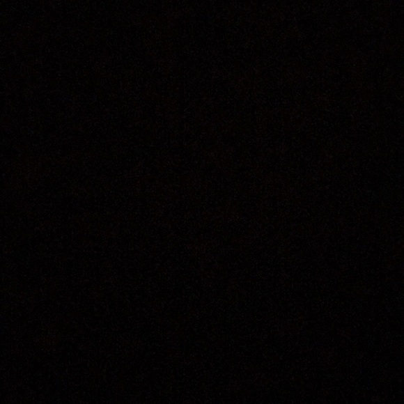 Meet your Posher, Riley - Picture 1 of 1